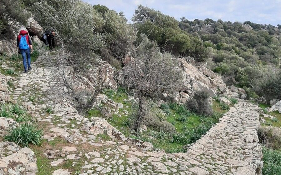 monopatia-dl Νέα μονοπάτια για πεζοπορία και ποδήλατο στη Δυτική Λέσβο
