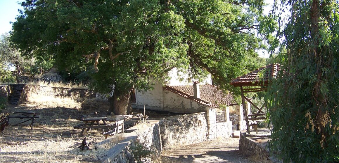 100_3035.jpgτραπερια Ένα μικρό πέρασμα στην ιστορία του Πολιχνίτου