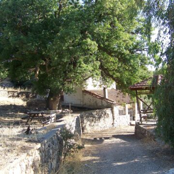 100 3035.jpgτραπερια 100 3035.jpgτραπερια