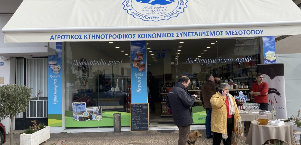 IMG_2832 Ο Μεσότοπος στην Ηλιούπολη
