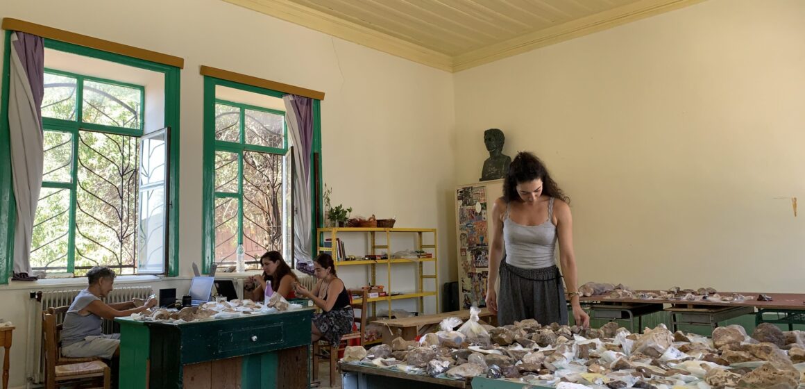 IMG_6739 Τελευταία, εξαιρετικά νέα από την Καθηγήτρια κα Νένα Γαλανίδου για τα Ροδαφνίδια