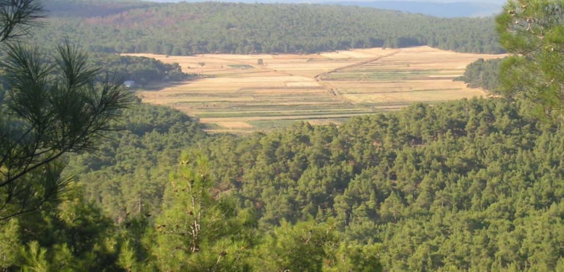 megali_limni Μαγνησιούχο νερό για την επίλυση του προβλήματος ύδρευσης της ευρύτερης περιοχής Πολιχνίτου
