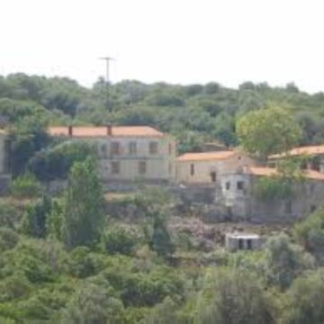 δαμανδρι δαμανδρι